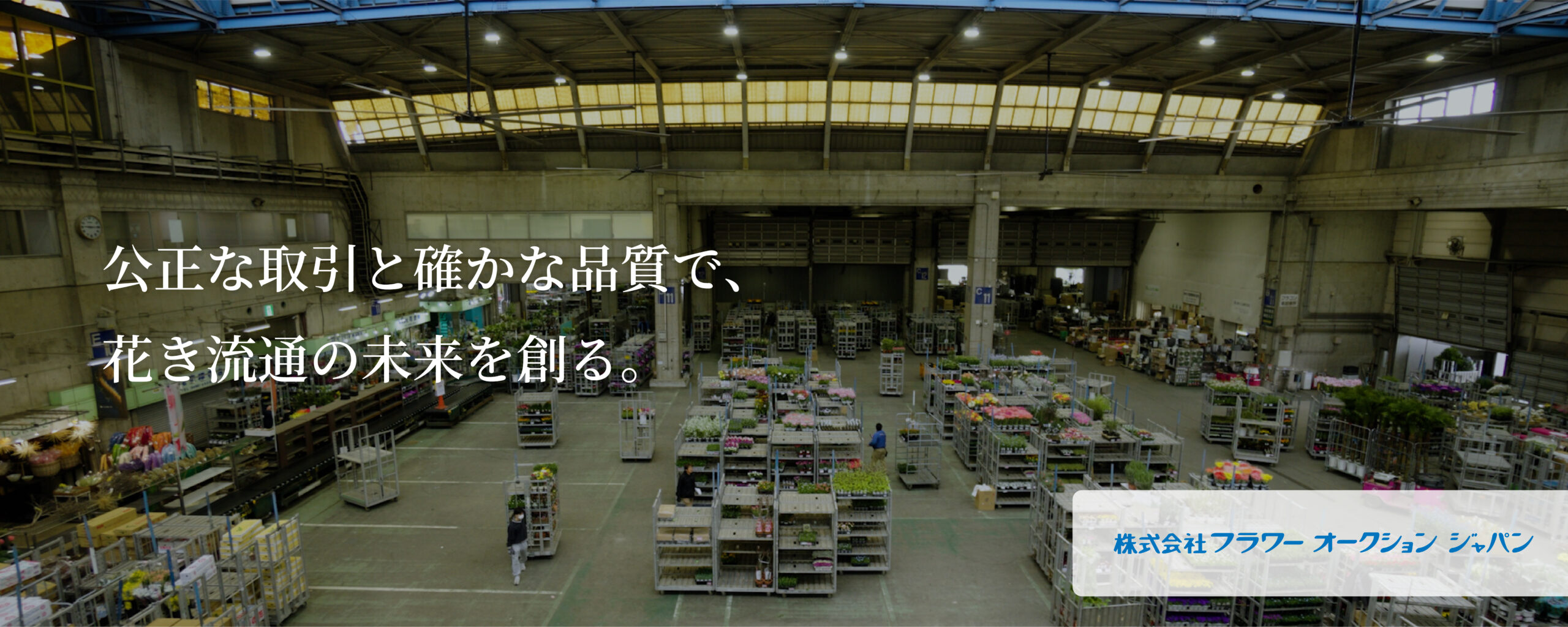 株式会社フラワーオークションジャパン